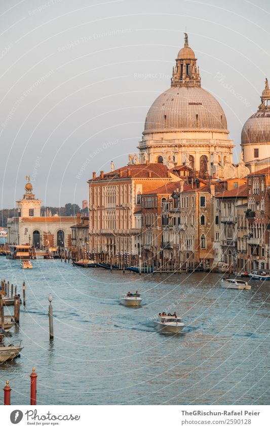 cathedral Small Town Port City Downtown Blue Brown Yellow Gold Venice Italy Canal Grande Watercraft Navigation Dome Impressive House (Residential Structure)