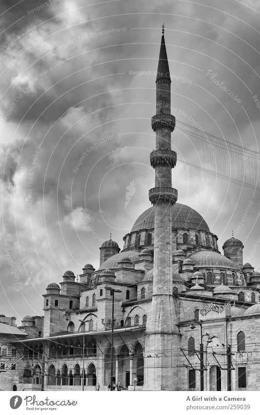 where faith lies hidden Istanbul Turkey Port City Downtown Old town Populated Tower Mosque Wall (barrier) Wall (building) Facade Minaret Domed roof Round
