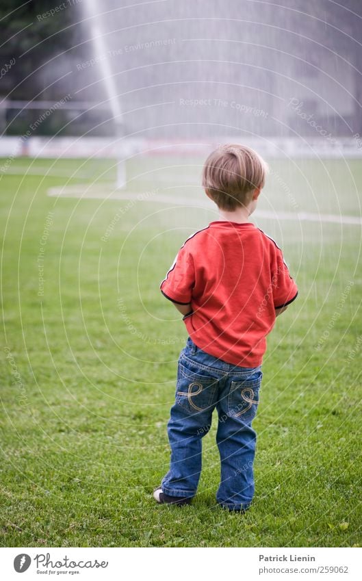 waiting Human being Masculine Child Toddler Body 1 3 - 8 years Infancy Wait Drops of water Playing Fear Red Clothing Boy (child) Caution Elements Meadow Lawn