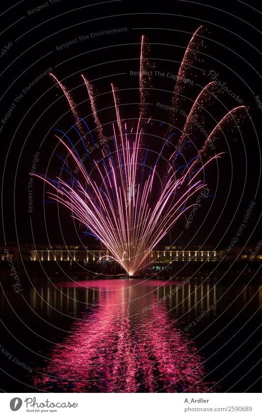 Fireworks in the lake Event Shows Air Water Night sky Lake Hollersee Gigantic Violet Pink Black Firecracker firework Colour photo Exterior shot Evening
