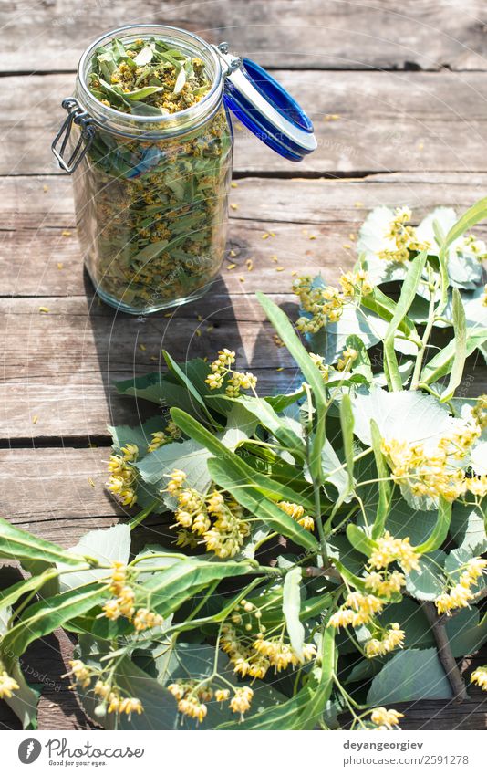 Jar with Linden blossom on wooden table Herbs and spices Tea Summer Nature Plant Tree Flower Leaf Blossom Fresh Natural Green linden lime branch herbal Floral