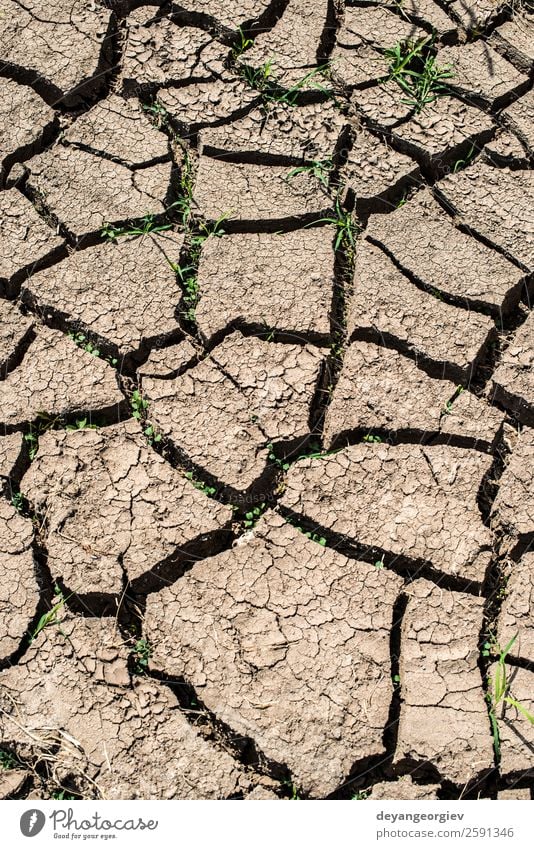 Cracked soil background Environment Nature Earth Climate Drought Dirty Hot Natural Brown Crack & Rip & Tear dry Consistency Ground desert Mud land arid Clay