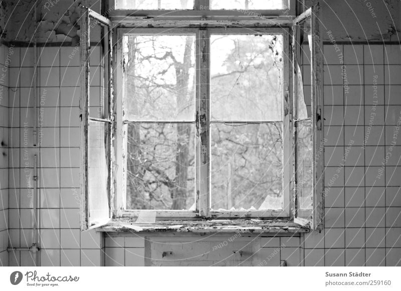 Beelitz. Dream house Window Old Broken Shard Ventilate Vandalism Sanitarium Kitchen Tile Black & white photo Open Window pane Interior shot Deserted Twilight