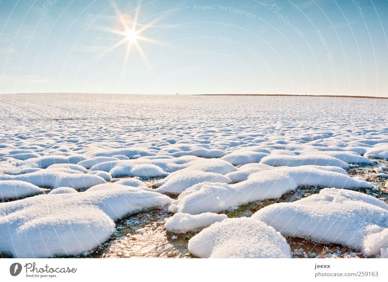 cold start Landscape Sky Cloudless sky Sun Winter Beautiful weather Snow Field Cold Blue Yellow White Calm Freedom Horizon Nature Snowscape Colour photo