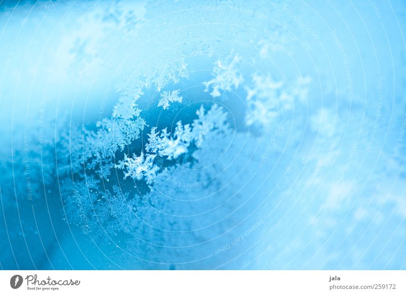 frozen effect Water Winter Ice Frost Glass Esthetic Blue Colour photo Exterior shot Deserted Day