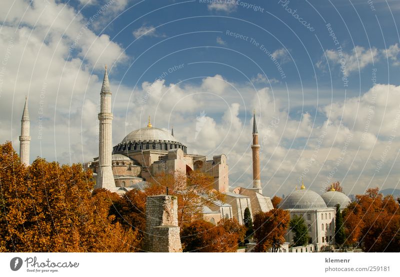Istanbul's Magic Hagia Sofia Lifestyle Vacation & Travel Tourism Adventure Sightseeing Nature Air Cloudless sky Clouds Tree Park Hagia Sophia Turkey Town