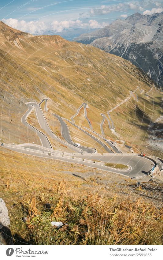 stelvio Nature Brown Yellow Gold Pass Street Curve Stilfserjoch Alps Driving Far-off places Discerning Italy Mountain Colour photo Deserted Copy Space top