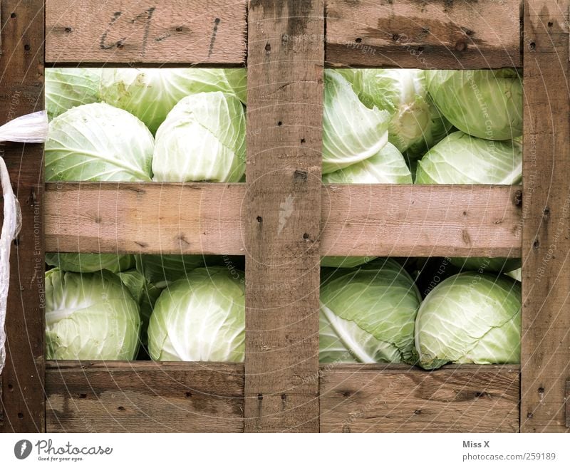 cabbage box Food Vegetable Lettuce Salad Nutrition Fresh Healthy Delicious Box of fruit Cabbage Wooden box Farmer's market Vegetable market Greengrocer