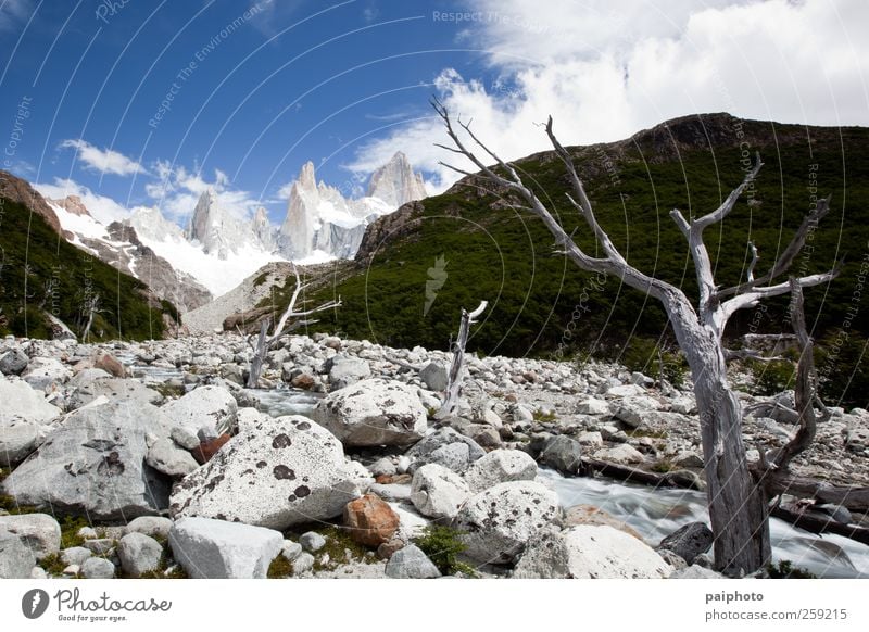 Tree, stream and mountains Vacation & Travel Tourism Adventure Far-off places Expedition Summer Snow Mountain Hiking Climbing Mountaineering Environment Nature
