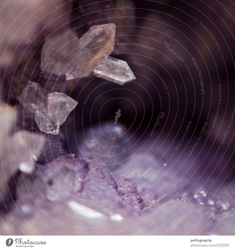 crystallized Nature Dirty Sharp-edged Far-off places Small Crystal Crystal structure Glittering Fraud Colour Violet Quartz Stone Minerals Point druse Inclusion