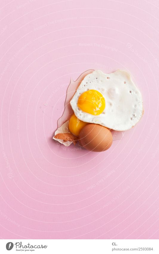 Egg Food Nutrition Breakfast Easter Esthetic Exceptional Funny Yellow Pink Squander Design Uniqueness Fiasco Adversity Colour photo Interior shot Studio shot
