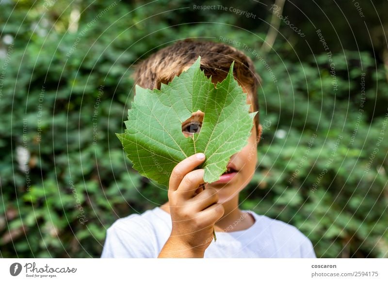 Little boy looking through a hole in a leaf Lifestyle Joy Happy Beautiful Playing Vacation & Travel Adventure Child School Human being Toddler Boy (child) Woman