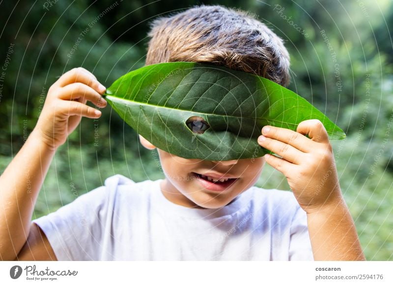 Little boy looking through a hole in a leaf Joy Happy Beautiful Playing Garden Child School Human being Toddler Boy (child) Woman Adults Infancy 1 3 - 8 years