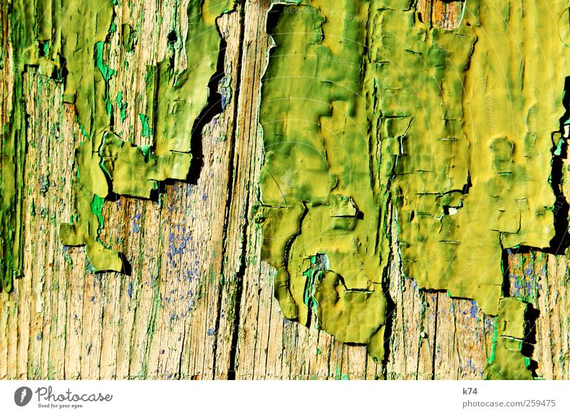 wood & paint Wood Old Yellow Green Decline Transience Change Dye Flake off Background picture Colour photo Multicoloured Exterior shot Deserted Copy Space left