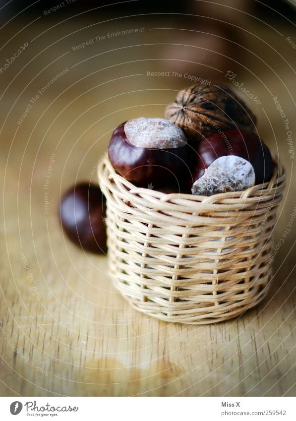 chestnuts Bowl Brown Chestnut Nut Walnut Basket Wood Colour photo Subdued colour Close-up Deserted Shallow depth of field