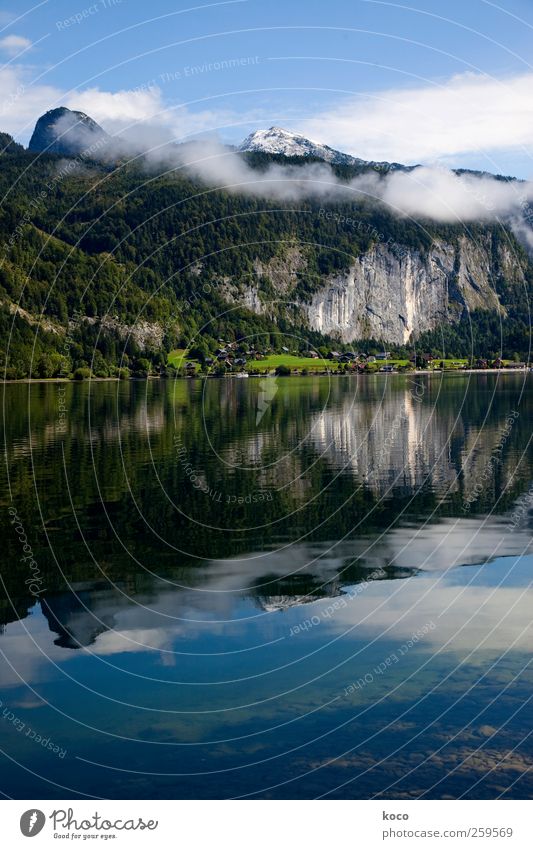 summer snow Nature Landscape Water Sky Clouds Summer Autumn Beautiful weather Snow Forest Mountain Peak Snowcapped peak Coast Lakeside Lake Grundlsee Fluid Cold