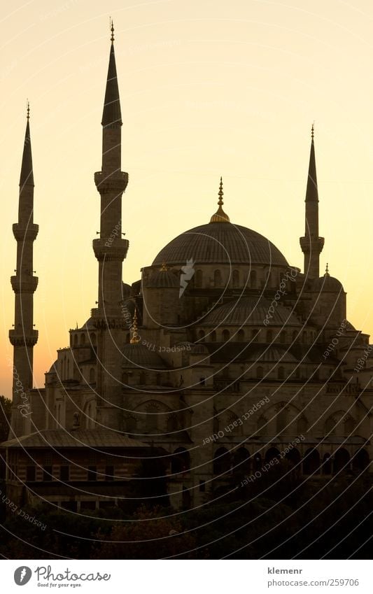 Blue Mosque in Istanbul's sunset scene - vertical Tourism Culture Sky Building Architecture Monument Religion and faith famous turkey Middle eastern Islam asian