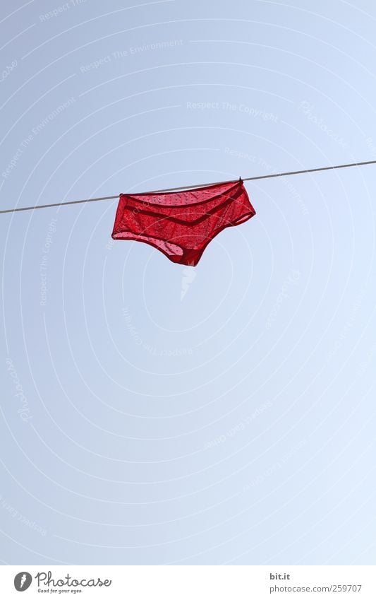 linen trousers Air Sky Cloudless sky Clothing Underwear hang Cleaning Fresh Tall Dry Blue Red Diligent Laundry Clothesline Underpants Panties Washing String