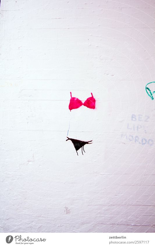 Bikini slight return Diet Body Figure Woman Feminine Underwear Wall (building) Wall (barrier) Graffiti Illustration Tagging (graffiti) Vandalism Smeared