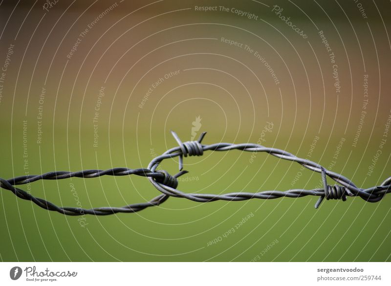 Hold me tight, I werd´ crazy..... Wire fence Point Thorny Power Willpower Brave Safety Protection Agreed Loyal Together Loyalty Solidarity Unwavering Dangerous