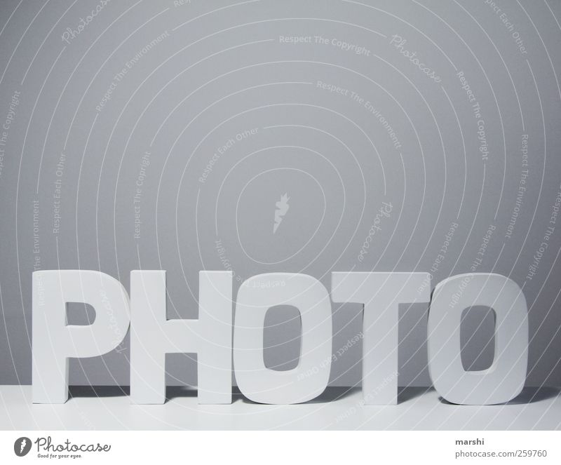 photo Wood Sign Characters Gray White Photography Take a photo Symbols and metaphors Isolated Image Word Logo Reading Write Light Shadow Colour photo