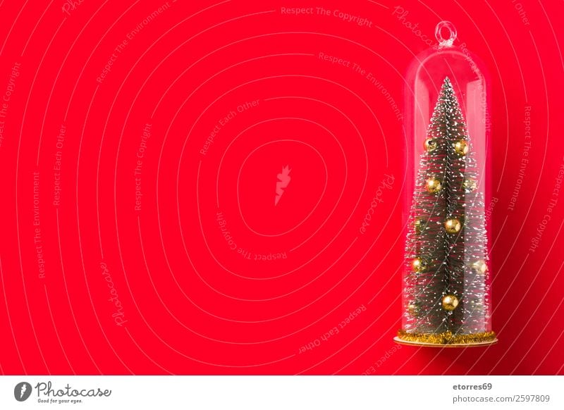 Christmas tree and snow on bright red background. Christmas & Advent Tree Snow Decoration December Seasons Holiday season Vacation & Travel