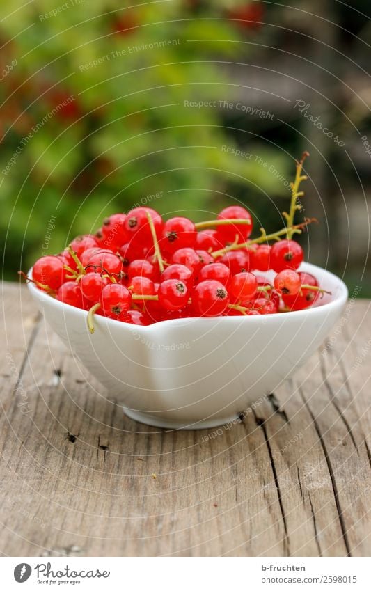 A bowl of currants Food Fruit Nutrition Organic produce Vegetarian diet Healthy Eating Summer Select Fresh Red To enjoy Redcurrant Bowl Containers and vessels