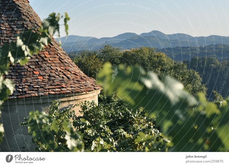 Cry! Autumn Vine Hill Alps Mountain Vineyard Riegersburg Federal State of Styria Austria Village Manmade structures Building Architecture Roof Roofing tile