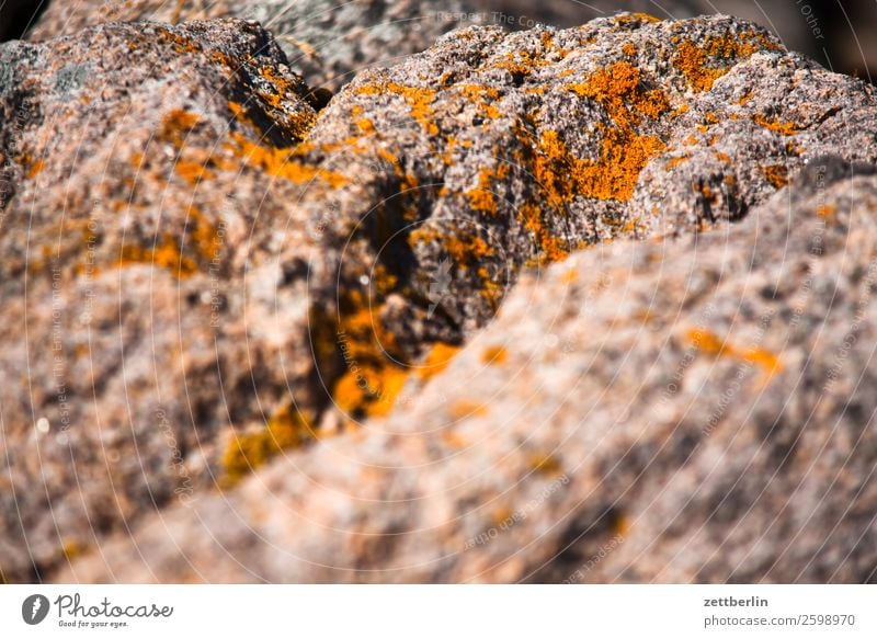 lichen again Rock Vacation & Travel Fjord Island Landscape Lofotes Maritime Nature Nordic Norway Travel photography Skerry Scandinavia Copy Space Depth of field