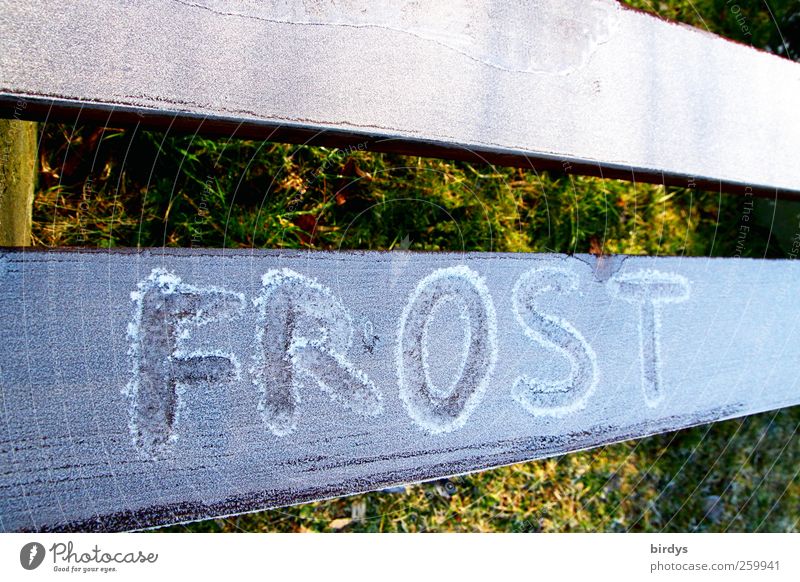 Now it's getting icy Winter Climate Ice Frost Park Characters Esthetic Bright Cold Perspective Hoar frost Handwriting 2 Letters (alphabet) Word Wooden board