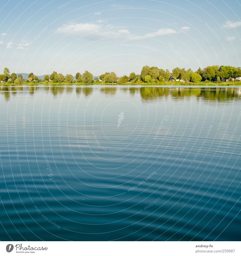 summertime Nature Water Sky Horizon Summer Beautiful weather Coast Lake Clean Blue Environment Environmental protection Vacation & Travel Pond Shore of a pond