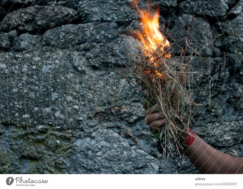 fire Arm Hand Grass Wall (barrier) Wall (building) Stone Concrete Hot Bright Uniqueness Beautiful Gray Orange Red Brave Fear Exotic Risk Pain Fire Burn