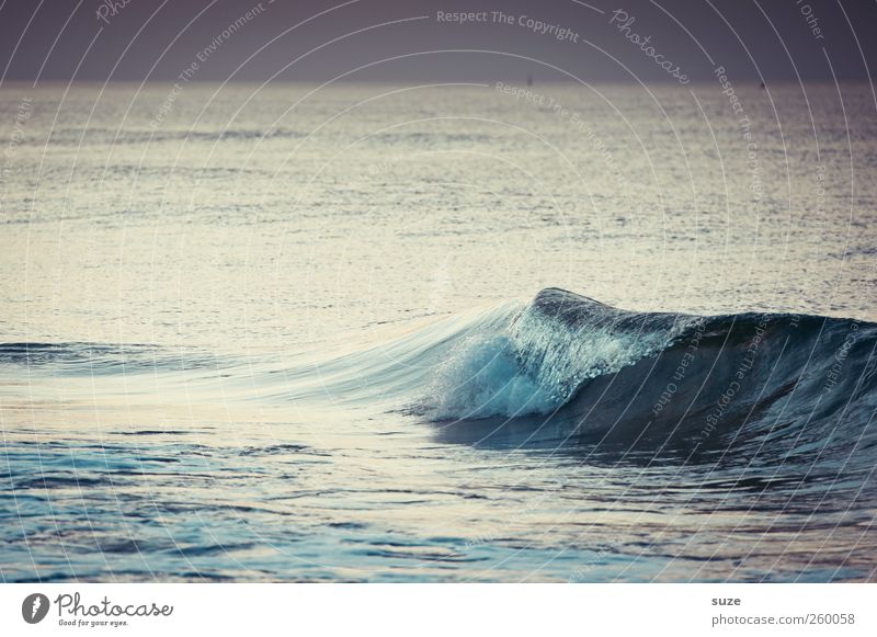Baltic Sea waves Waves Environment Nature Landscape Elements Water Horizon Weather Coast Cold Wild Blue Gray Surface of water Structures and shapes Colour photo