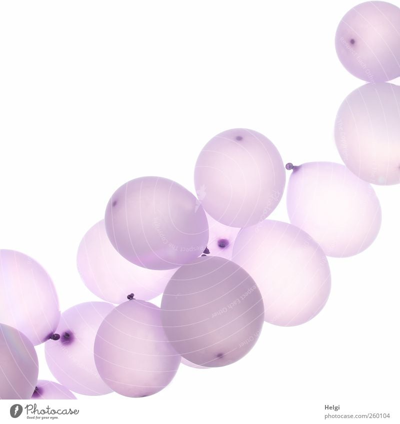 Necklace with purple balloons on a white background Decoration Balloon Hang Esthetic Exceptional Simple Elegant Happiness Hip & trendy Beautiful Uniqueness
