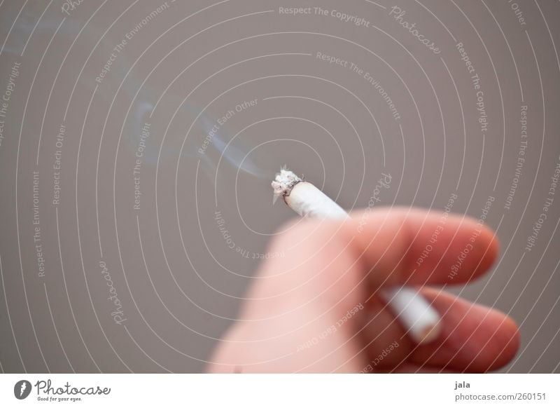 fag Smoking Hand Fingers Cigarette Colour photo Exterior shot Copy Space top Neutral Background Day
