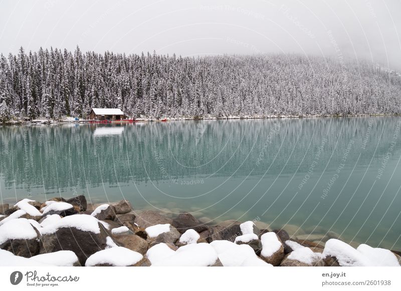 Paddle weather? Vacation & Travel Tourism Trip Adventure Winter Snow Winter vacation Nature Landscape Fog Forest Rock Lakeside Lake Louise Hut Boathouse Rowboat