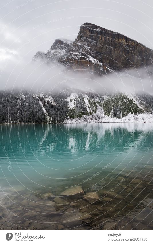 turquoise Vacation & Travel Trip Winter vacation Mountain Nature Landscape Elements Fog Rock Rocky Mountains Lake Lake Louise Turquoise Adventure Loneliness