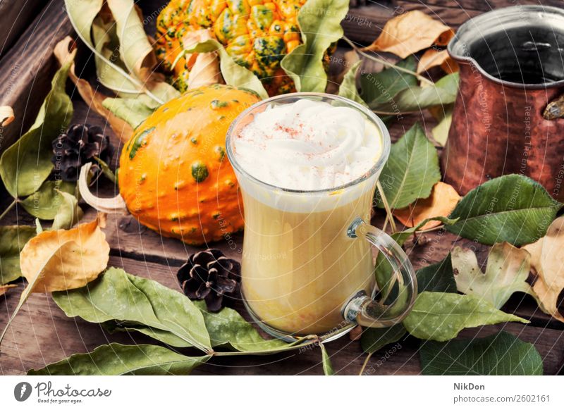 Pumpkin spice coffee with whipped cream pumpkin latte autumn food drink beverage fall cinnamon rustic hot vegetable tasty cocktail delicious cup squash milk