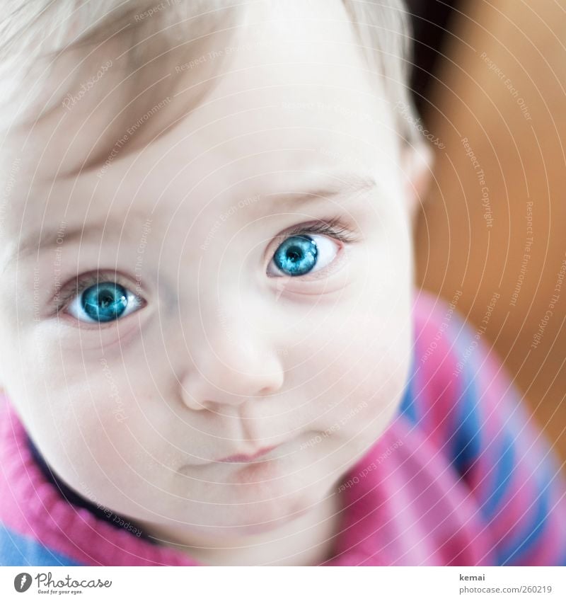 baby blue Skin Face Human being Baby Girl Infancy Life Head Eyes Nose Mouth Eyelash 1 0 - 12 months Looking Small Blue Emotions Trust Cute Caution Intensive