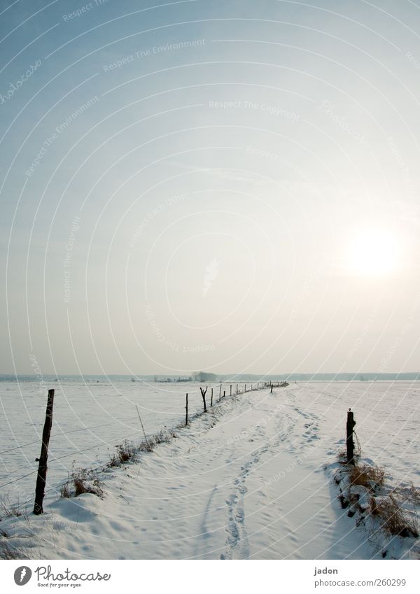 in front is the light. Winter Snow Hiking Landscape Sky Ice Frost Field Bright Cold Homesickness Horizon Infinity Lanes & trails Far-off places Brandenburg