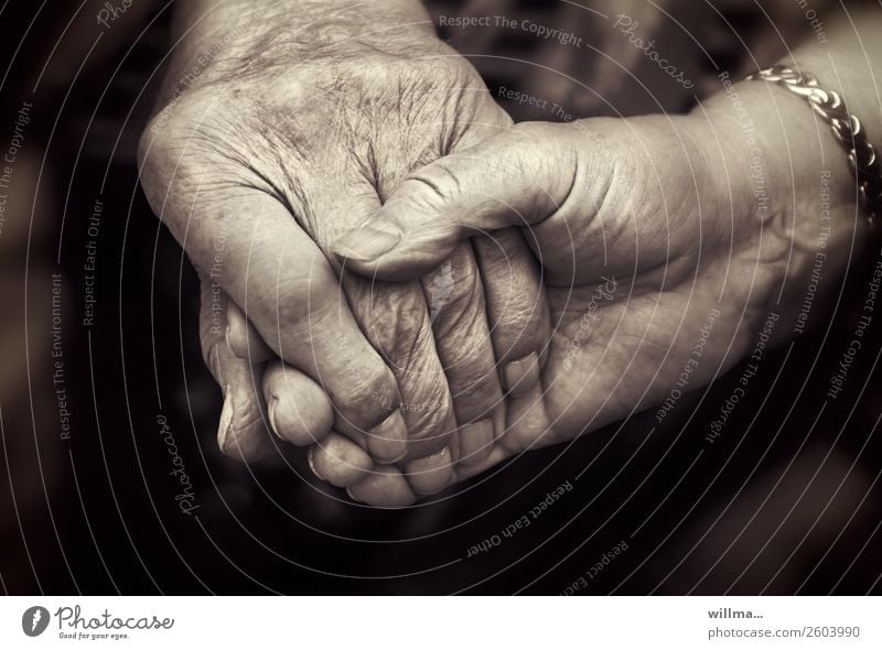 Connectedness, two seniors holding hands Hand age Couple Partner Senior citizen Human being Life Old Touch Together Emotions Contentment Trust