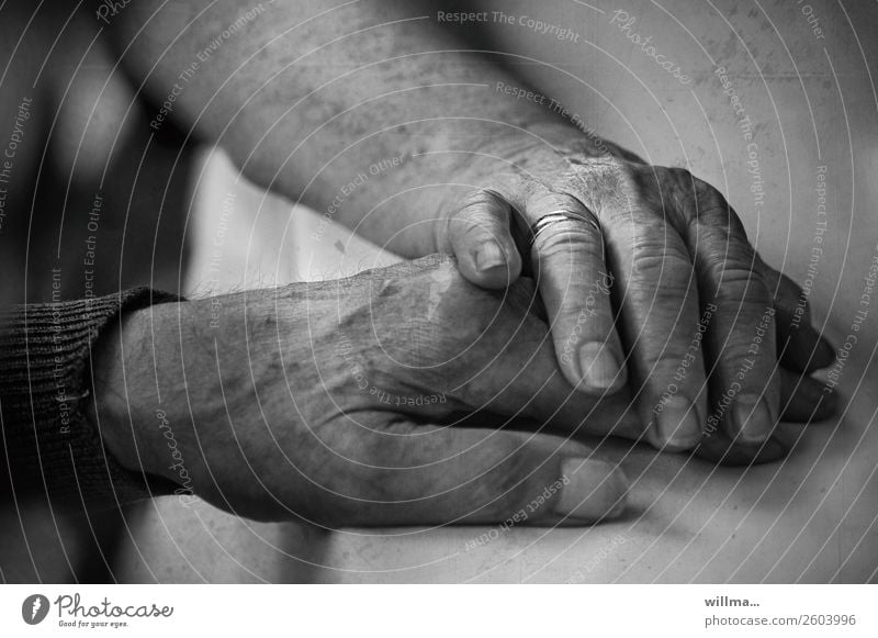 End of life. Senior citizen trustingly places her hand on her husband's hand. Hand 2 hands age Couple Partner Human being Old Life 60 years and older Touch