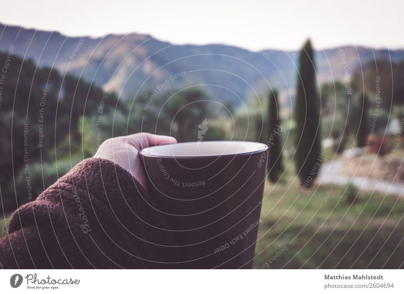 first coffee Beverage Coffee Arm Fingers Landscape Autumn cypress Mountain Tuscany Italy Cup Relaxation Drinking Healthy Natural Brown Green Contentment