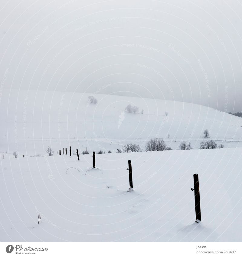 orientation Landscape Air Winter Weather Bad weather Fog Ice Frost Snow Tree Field Hill Mountain Cold Black White Fence post Snowscape Pasture fence
