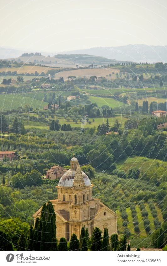 Church in wine Environment Nature Landscape Plant Sky Summer Weather Beautiful weather Tree Bushes vine plant Wine Meadow Field Hill Montepulciano Tuscany Italy