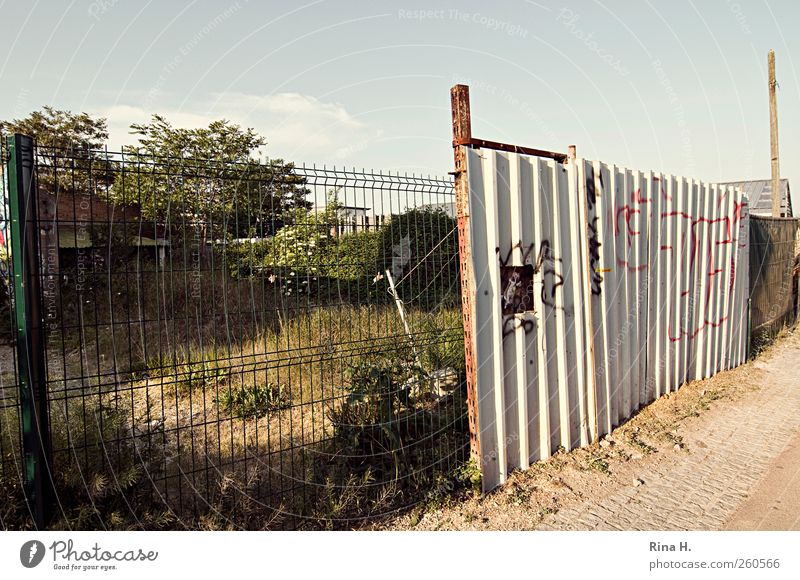 construction site Craft (trade) Construction site Grass Bushes Garden Small Town Chaos Fence Barrier Hoarding Corrugated iron wall Graffiti Colour photo