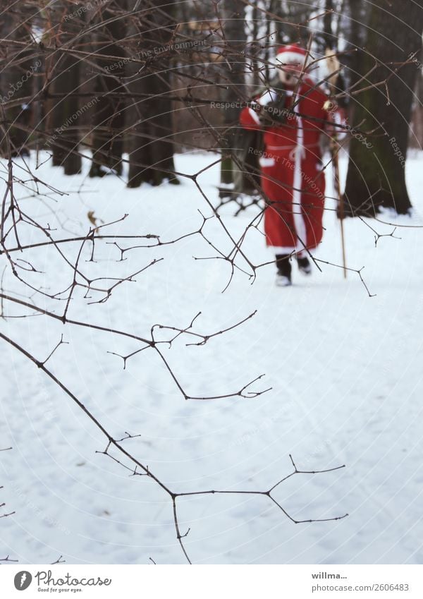 santa claus in the winter forest Santa Claus Christmas & Advent Male senior Human being Winter Snow Forest Going Come Winter forest Front view Santa Claus Coat