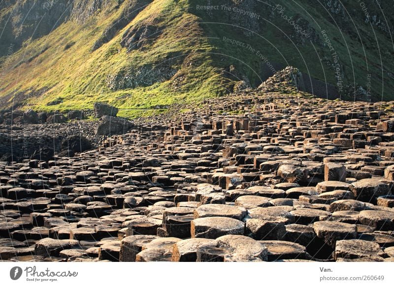 Giant's Causeway Environment Nature Landscape Earth Hill Rock Mountain Giant´s Causeway Northern Ireland Tourist Attraction Stone Exceptional Column Basalt