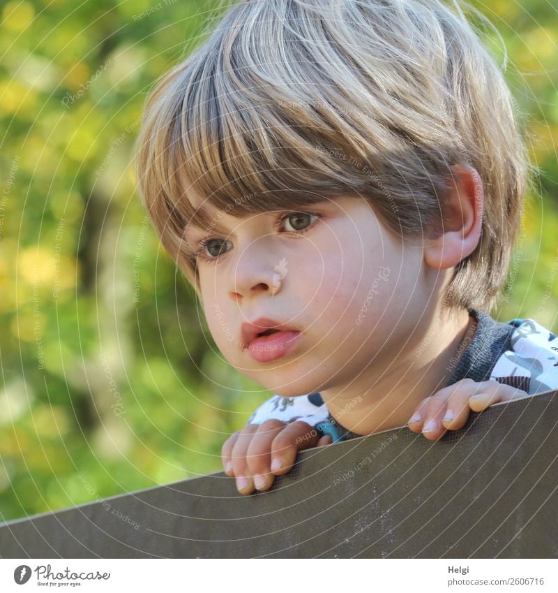 Portrait of a little boy who looks attentively over a fence Human being Masculine Child Infancy Head Hair and hairstyles Face Fingers 1 3 - 8 years Observe