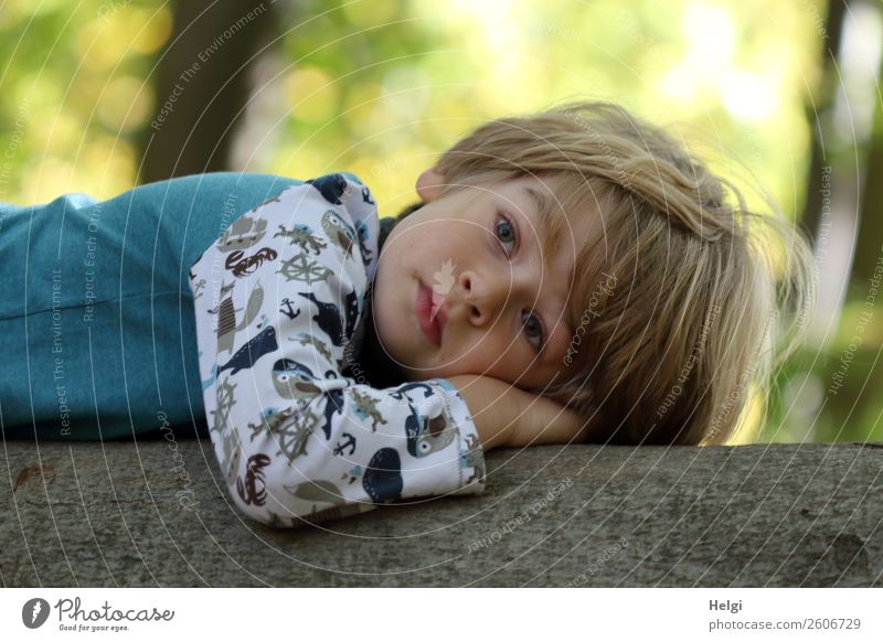 Portrait of a small boy, who lies dreaming on a tree trunk Human being Masculine Child Infancy 1 3 - 8 years Environment Nature Autumn Tree Tree trunk Forest